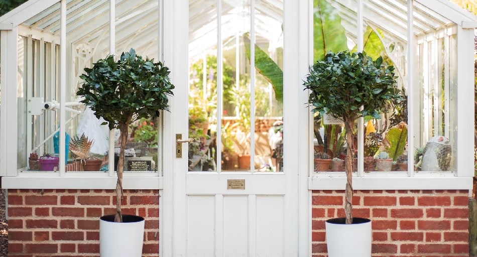 12 Best Tall Outdoor Artificial Trees of 2022 (Top Picks)