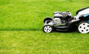 How to Measure Lawn Mower Belt: A Step-by-Step Guide to Ensuring the Perfect Fit