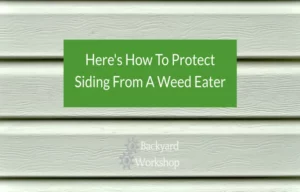 How to Protect Siding from Weed Eater: Expert Tips and Tricks