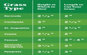 What Are the Height Settings on Lawn Mower? A Quick Guide