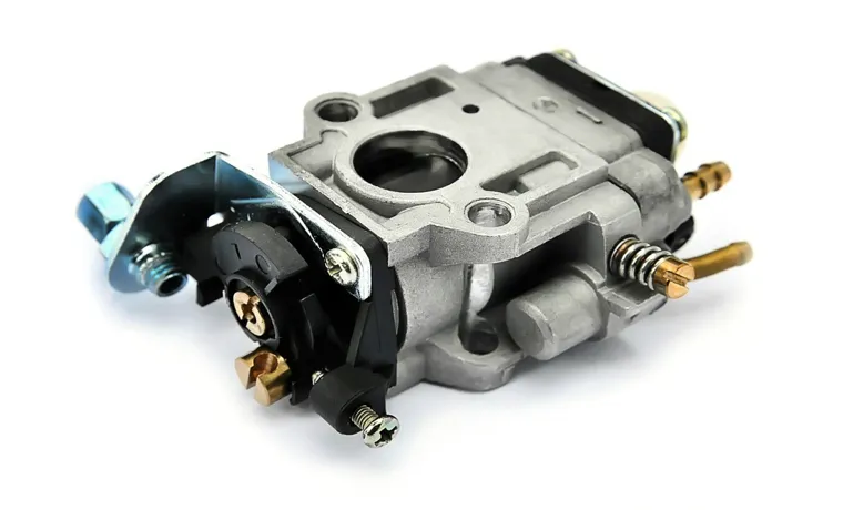what does a lawn mower carburetor look like