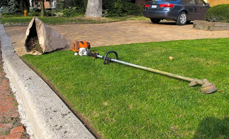 why pay more for a weed trimmer